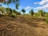 Lot 5, Mercer Spring Gate Road, East Nanango, Qld 4615-Image
