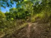 Lot 5, Mercer Spring Gate Road, East Nanango, Qld 4615-Image