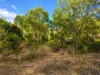 Lot 5, Mercer Spring Gate Road, East Nanango, Qld 4615-Image
