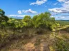 Lot 5, Mercer Spring Gate Road, East Nanango, Qld 4615-Image