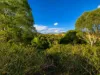 Lot 5, Mercer Spring Gate Road, East Nanango, Qld 4615-Image