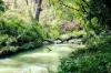 Lot 5, River Road, Mylor, SA 5153-Image