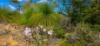 Lot 50, Seaview Drive, Karakin, WA 6044-Image