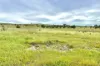 Lot 52, Second Street, Sheringa, SA 5607-Image