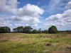 Lot 54 Bulguru Road, Etty Bay, Qld 4858-Image