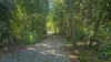 Lot 54 Lindsay Road, Carmoo, Qld 4852-Image