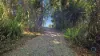 Lot 54 Lindsay Road, Carmoo, Qld 4852-Image