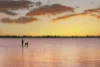 Lot 54, Queen Elizabeth Drive, Barmera, SA 5345-Image