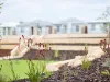 Lot 540, 14 Honeymyrtle Avenue, Beeliar, WA 6164-Image