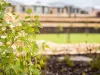 Lot 540, 14 Honeymyrtle Avenue, Beeliar, WA 6164-Image