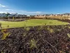 Lot 540, 14 Honeymyrtle Avenue, Beeliar, WA 6164-Image