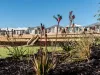 Lot 540, 14 Honeymyrtle Avenue, Beeliar, WA 6164-Image