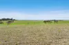 Lot 56, Barton Road, Hindmarsh Island, SA 5214-Image