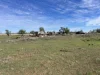 Lot 57, Oakey Biddeston Road, Biddeston, Qld 4401-Image
