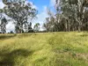 Lot 6, 1043 Murphy's Creek Road, Murphys Creek, Qld 4352-Image