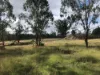 Lot 6, 1043 Murphy's Creek Road, Murphys Creek, Qld 4352-Image