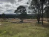 Lot 6, 1043 Murphy's Creek Road, Murphys Creek, Qld 4352-Image