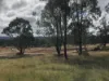 Lot 6, 1043 Murphy's Creek Road, Murphys Creek, Qld 4352-Image