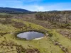 Lot 6, 524 Rosedale Road, Bicheno, Tas 7215