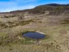 Lot 6, 524 Rosedale Road, Bicheno, Tas 7215-Image