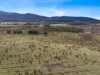 Lot 6, 524 Rosedale Road, Bicheno, Tas 7215-Image