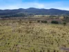 Lot 6, 524 Rosedale Road, Bicheno, Tas 7215-Image