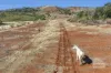 Lot 6 Aplin Road, Bracewell, Qld 4695-Image