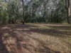 Lot 6, Crumpton Drive, Blackbutt North, Qld 4314-Image