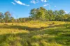 Lot 6 Eel Creek Road, Langshaw, Qld 4570-Image
