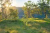 Lot 6 Eel Creek Road, Langshaw, Qld 4570-Image