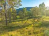 Lot 6 Eel Creek Road, Langshaw, Qld 4570-Image
