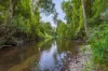 Lot 6 Eel Creek Road, Langshaw, Qld 4570-Image