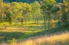 Lot 6 Eel Creek Road, Langshaw, Qld 4570-Image