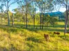 Lot 6 Eel Creek Road, Langshaw, Qld 4570-Image