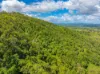 Lot 6 Horton Road, Chatsworth, Qld 4570-Image