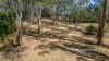 Lot 6, Main South Road, Hallora, Vic 3818-Image