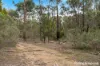 Lot 6 Royal Pde, Riddells Creek, Vic 3431-Image