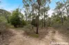 Lot 6 Royal Pde, Riddells Creek, Vic 3431-Image