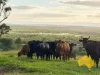 Lot 6, . RURAL ROAD, Nanango, Qld 4615-Image