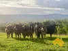 Lot 6, . RURAL ROAD, Nanango, Qld 4615-Image