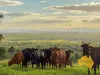 Lot 6, . RURAL ROAD, Nanango, Qld 4615-Image