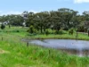 Lot 6 Sollys Hill Road, Watervale, SA 5452-Image