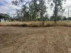 Lot 606 John Street, Bajool, Qld 4699-Image