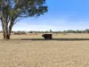 Lot 63, McCullochs Road, Tocumwal, NSW 2714-Image