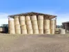 Lot 63, McCullochs Road, Tocumwal, NSW 2714-Image