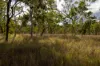 Lot 638, Wild River Road, Millstream, Qld 4888-Image