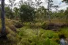 Lot 638, Wild River Road, Millstream, Qld 4888-Image