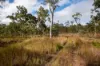 Lot 638, Wild River Road, Millstream, Qld 4888-Image