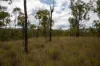 Lot 638, Wild River Road, Millstream, Qld 4888-Image