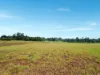 Lot 66, 12 Amber Close, Peeramon, Qld 4885-Image